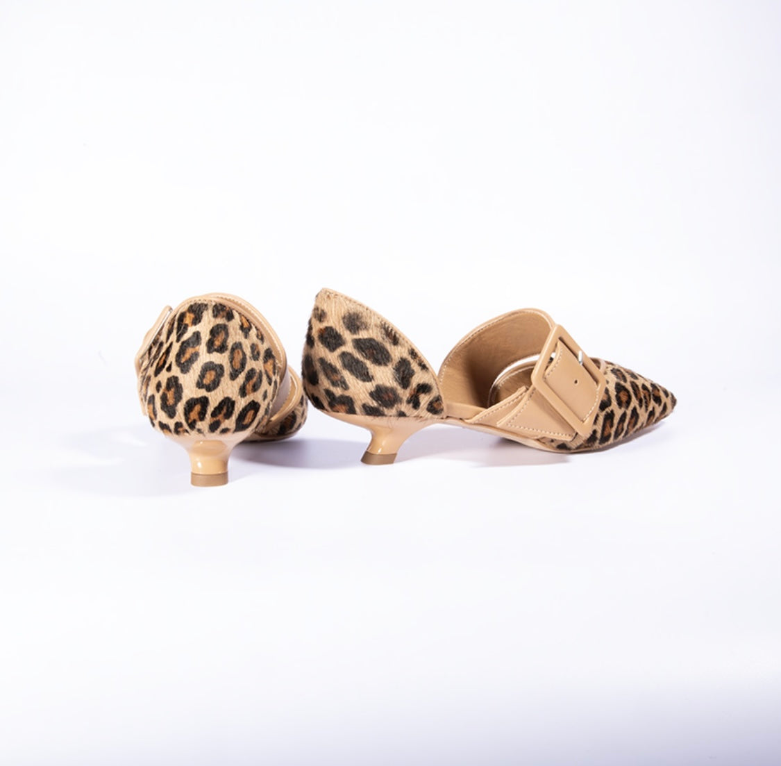 SHANA ST-471 CAV LINCE+PELLE CAPPUCCINO