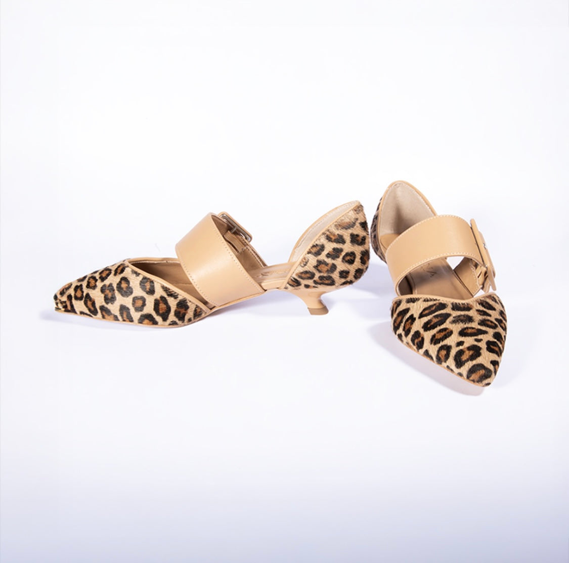SHANA ST-471 CAV LINCE+PELLE CAPPUCCINO