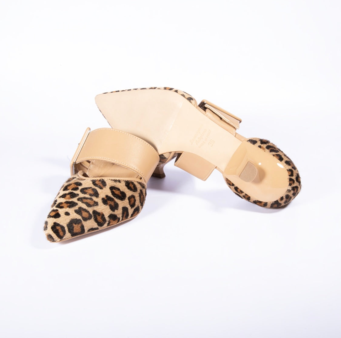 SHANA ST-471 CAV LINCE+PELLE CAPPUCCINO